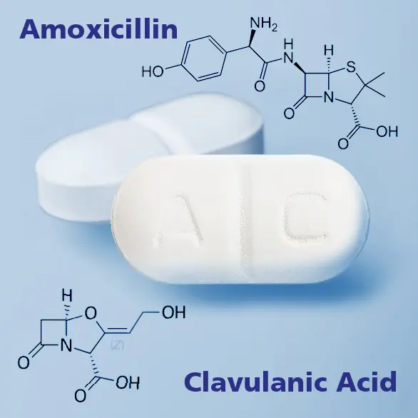 Amoxicilin and amoxicillin-clavulanate