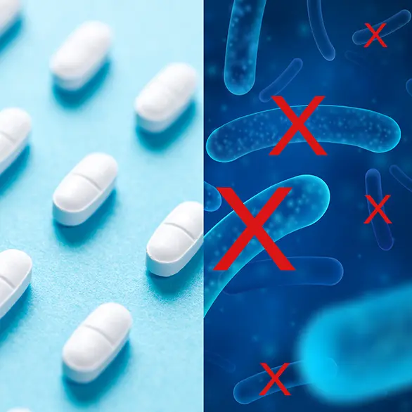 Bifidobatteri e terapia antibiotica